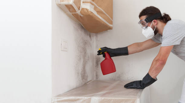 Professional Crawl Space Mold Remediation technician working in Streamwood, IL