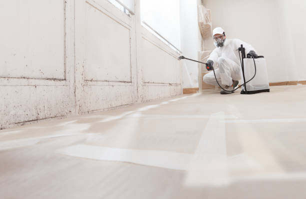 24/7 Emergency Crawl Space Mold Remediation experts in Streamwood, IL